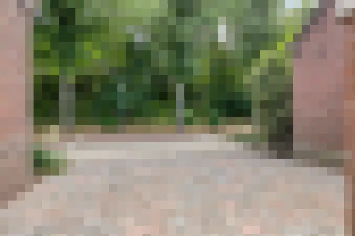 Overloonseweg 85 Venray thumbnail 33