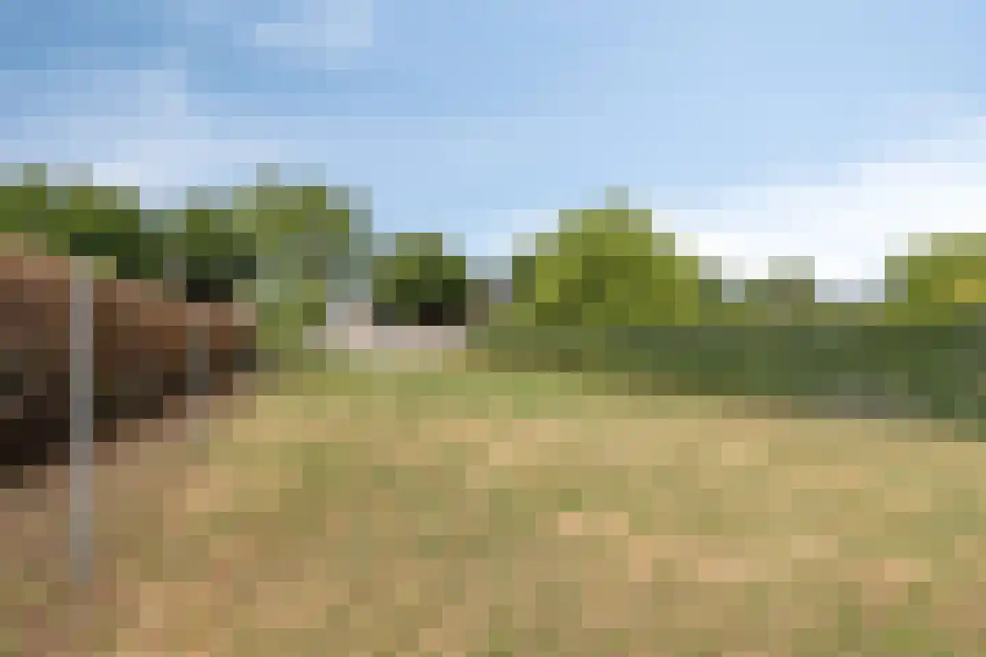 Overloonseweg 85 Venray thumbnail 34