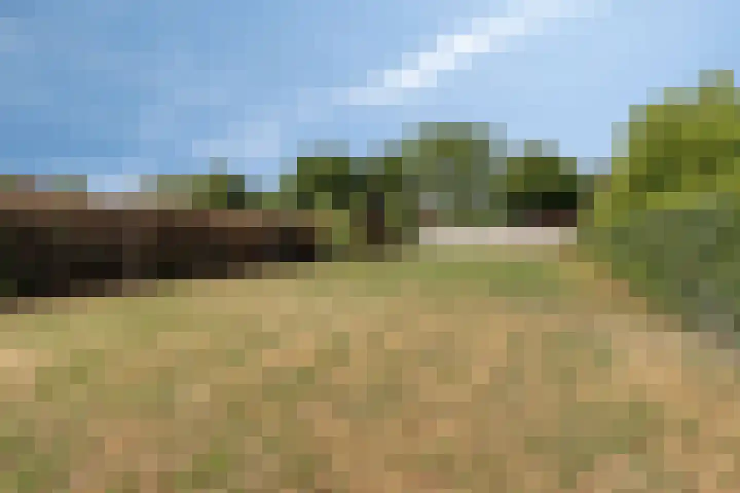 Overloonseweg 85 Venray thumbnail 35