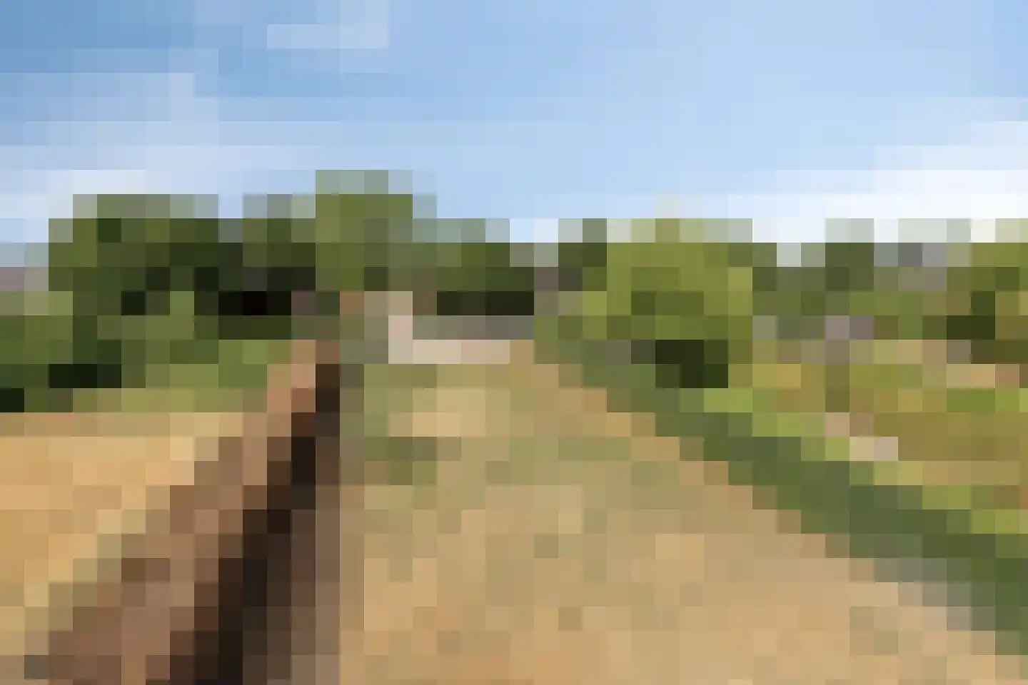 Overloonseweg 85 Venray thumbnail 38