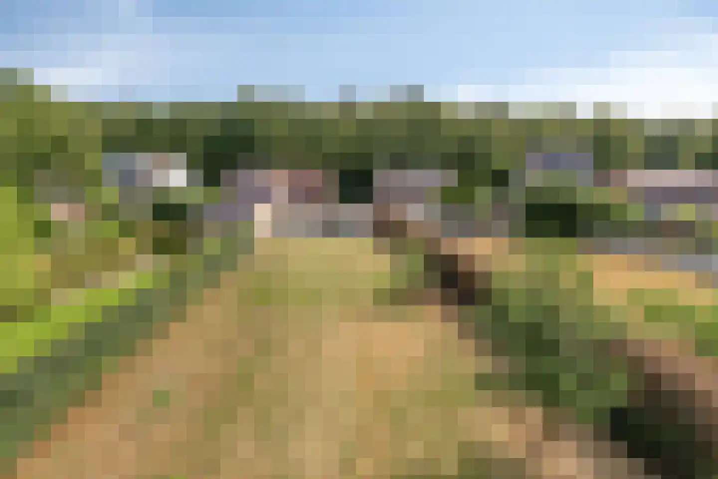 Overloonseweg 85 Venray thumbnail 39