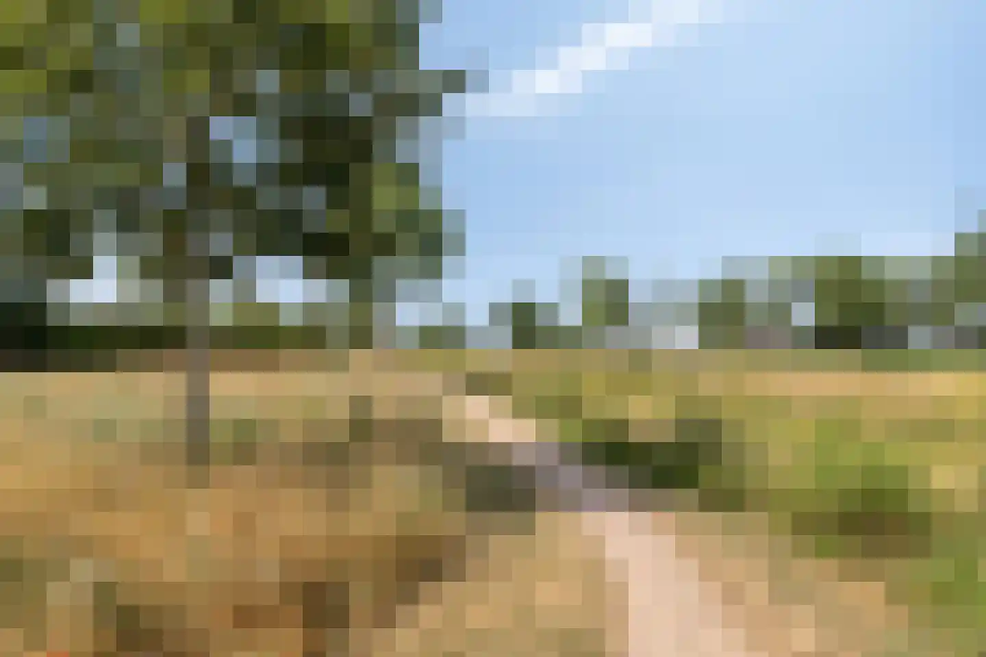 Overloonseweg 85 Venray thumbnail 48