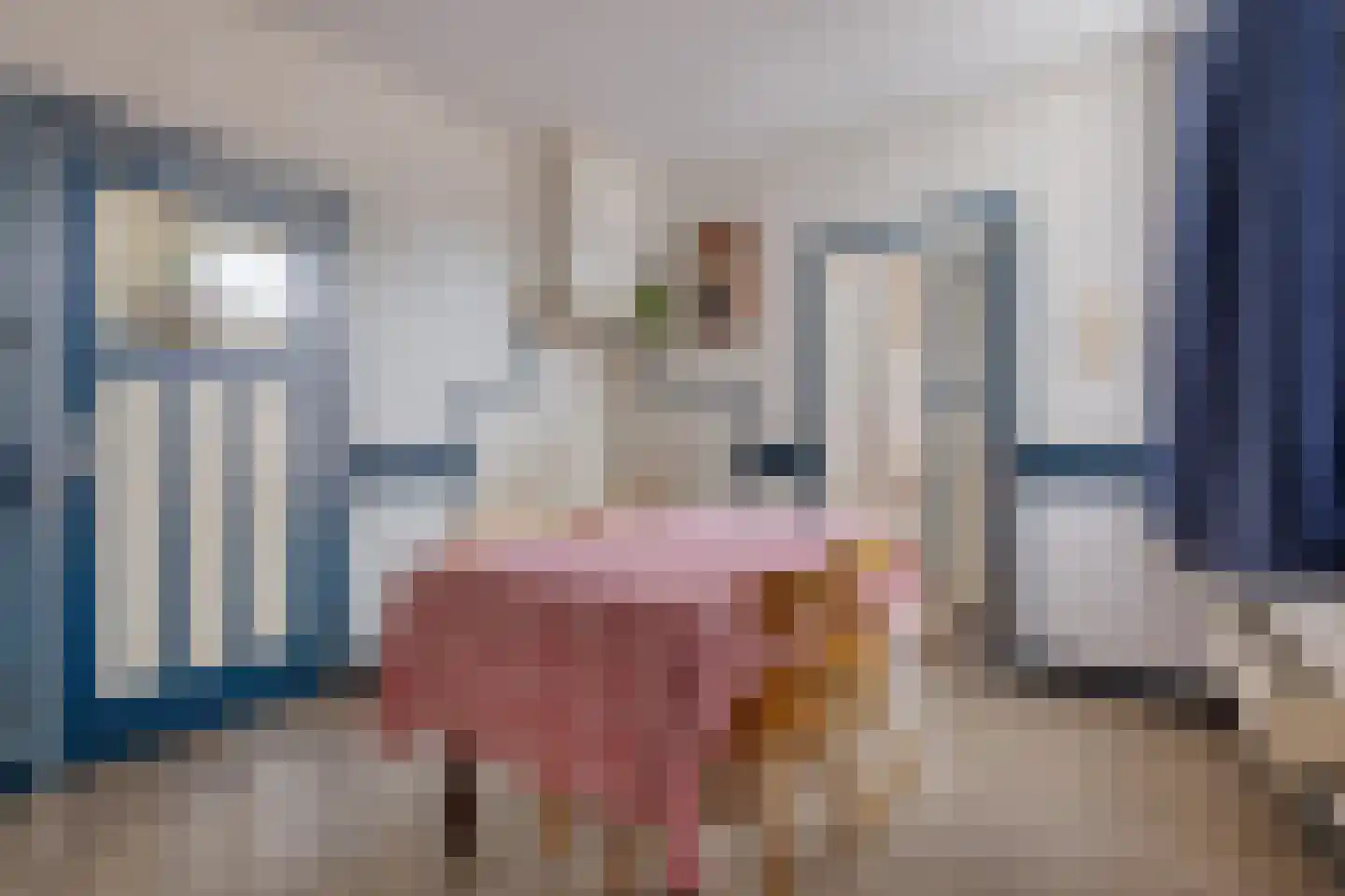 Overloonseweg 85 Venray thumbnail 8