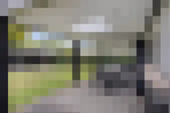 Overloonseweg 91 B Venray thumbnail 37