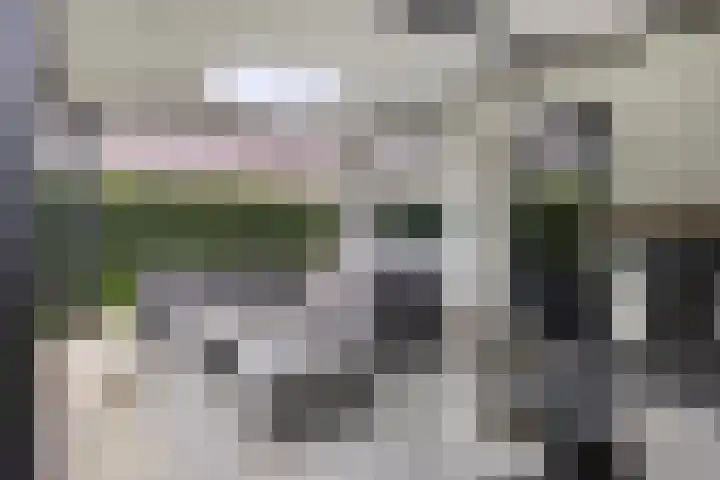 Overloonseweg 91 B Venray thumbnail 39