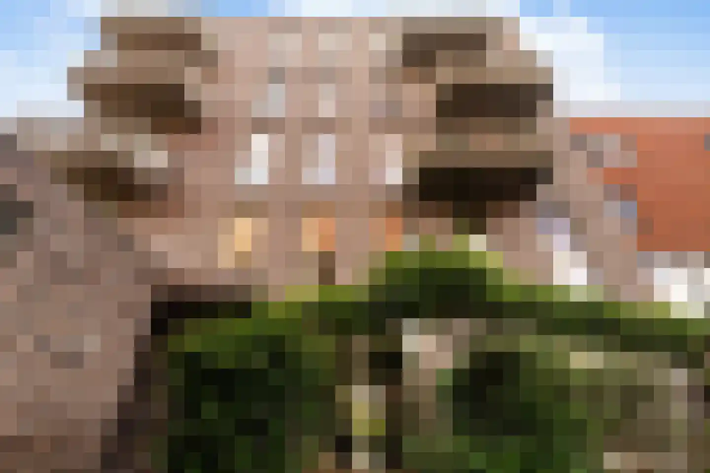 Overloopwissel 1 Utrecht thumbnail 25