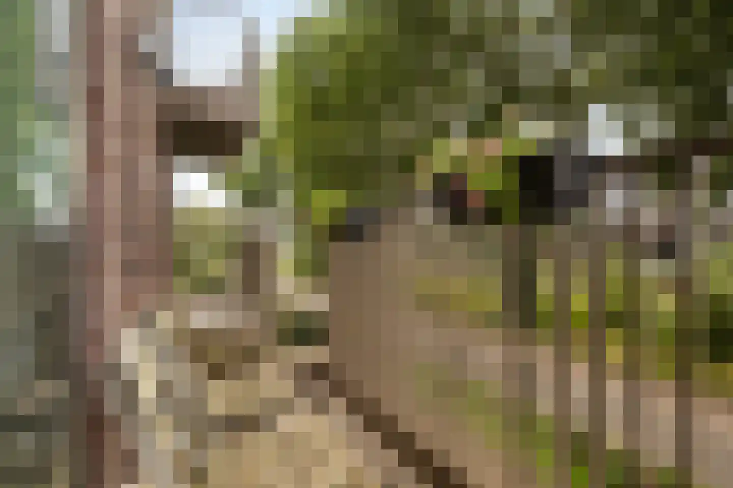 Overloopwissel 1 Utrecht thumbnail 35