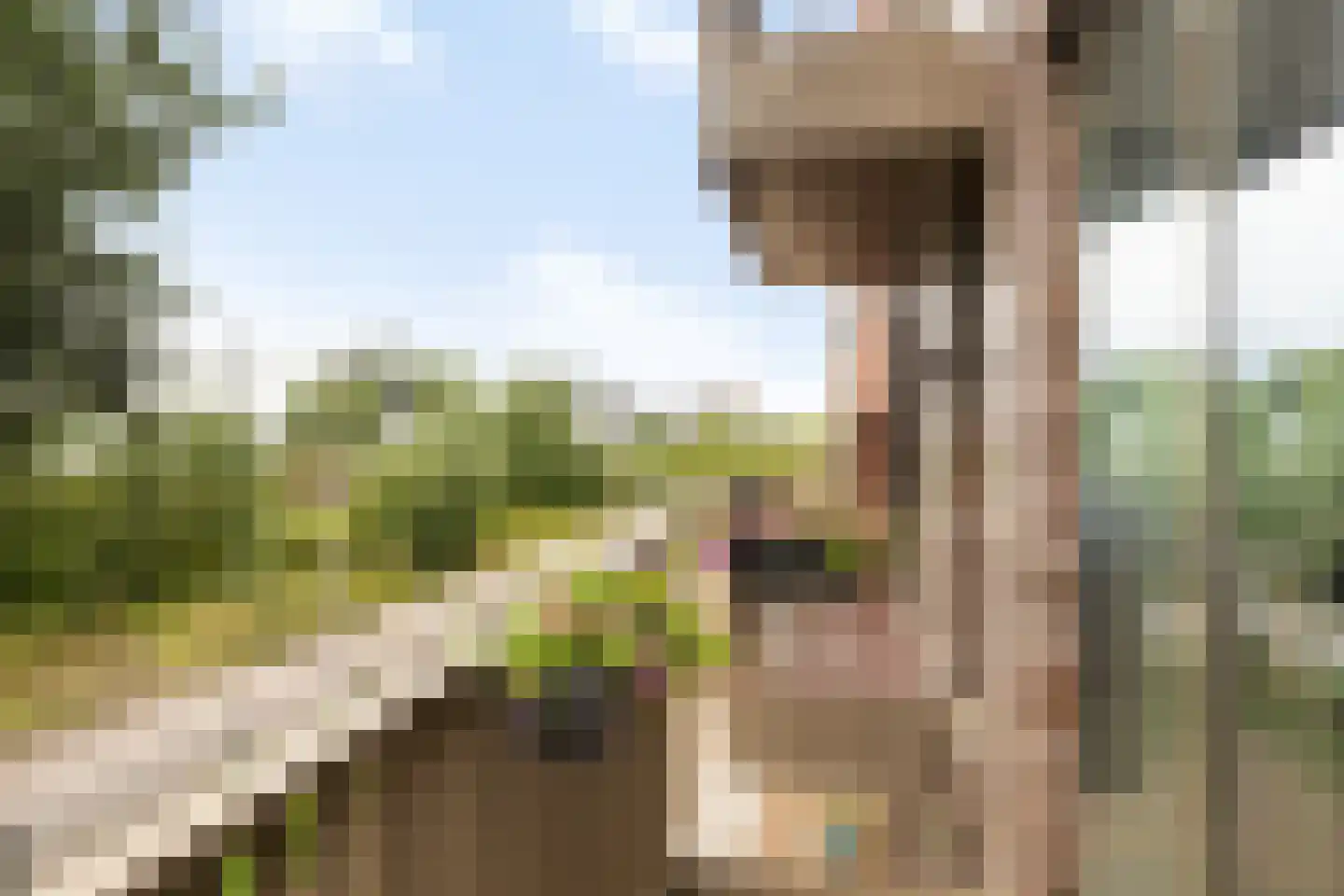 Overloopwissel 1 Utrecht thumbnail 36
