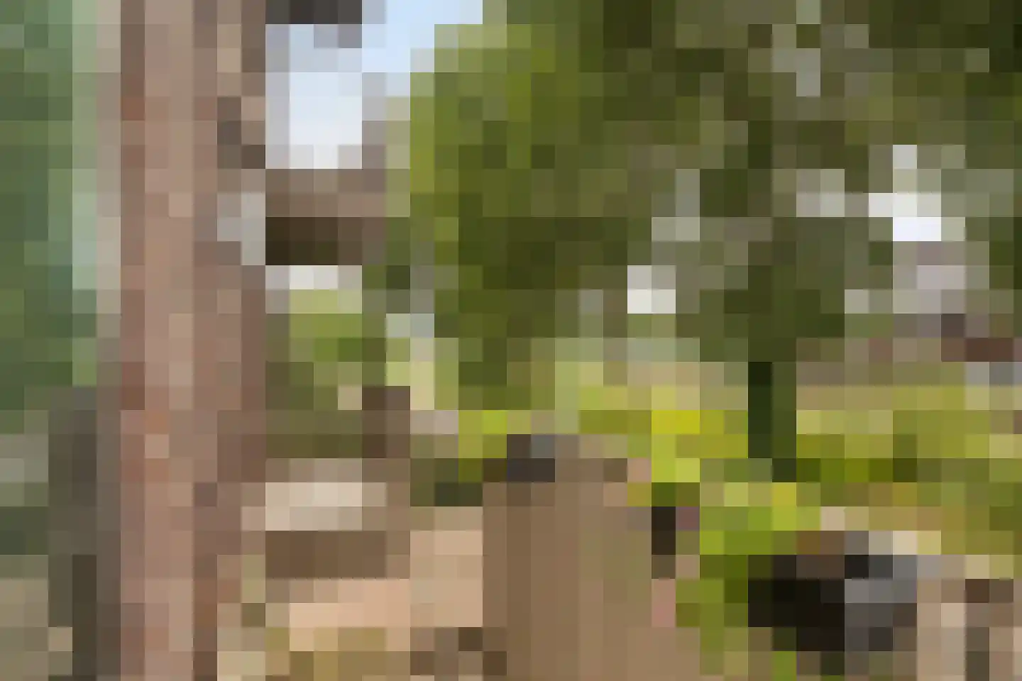 Overloopwissel 1 Utrecht thumbnail 37