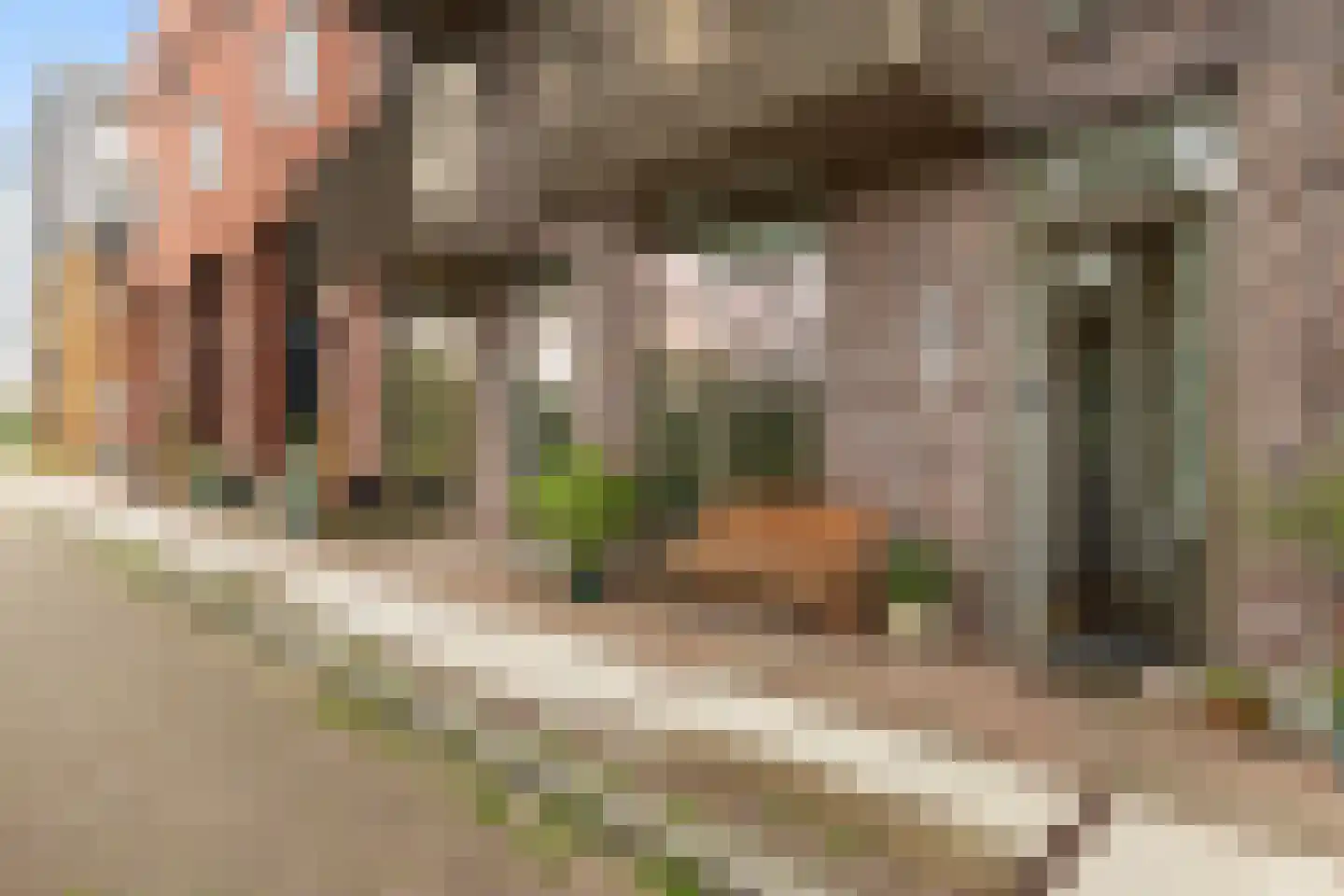 Overloopwissel 1 Utrecht thumbnail 7