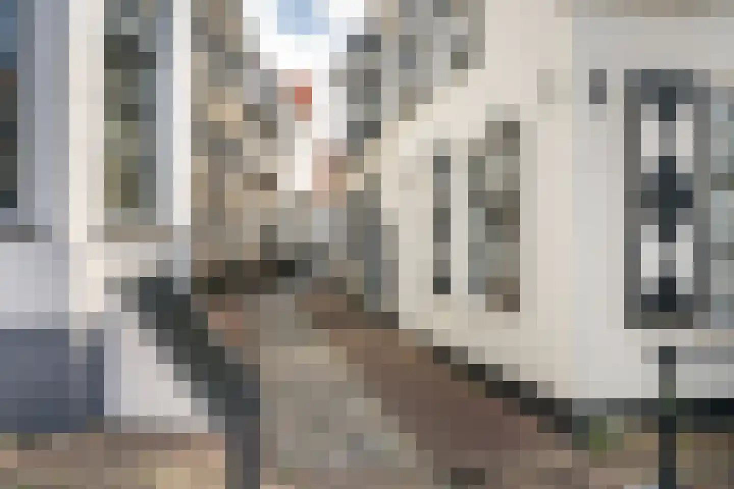 Overmaassesteeg 1 B Schiedam thumbnail 22