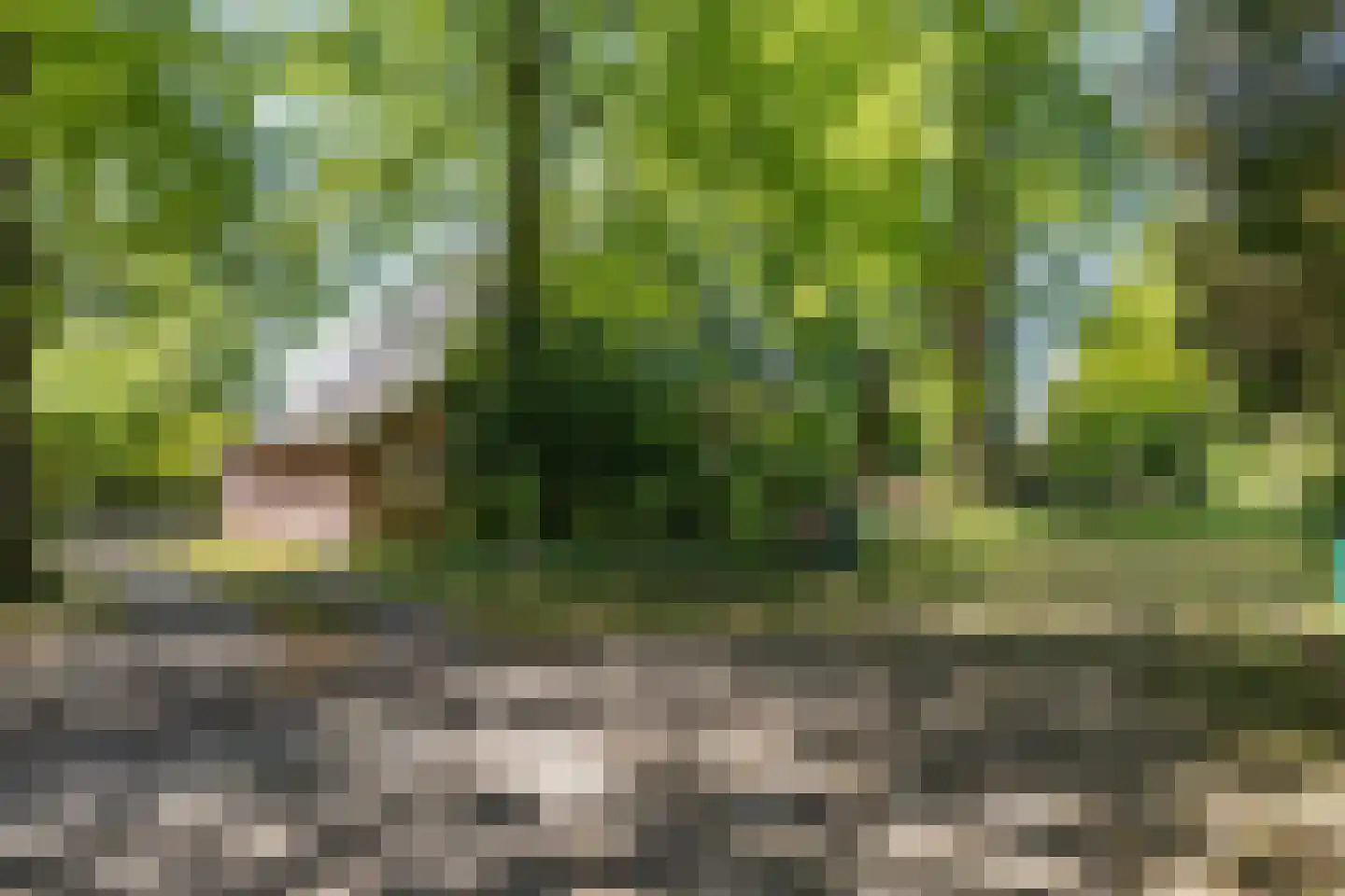 Overmaatweg 51 Enschede thumbnail 30