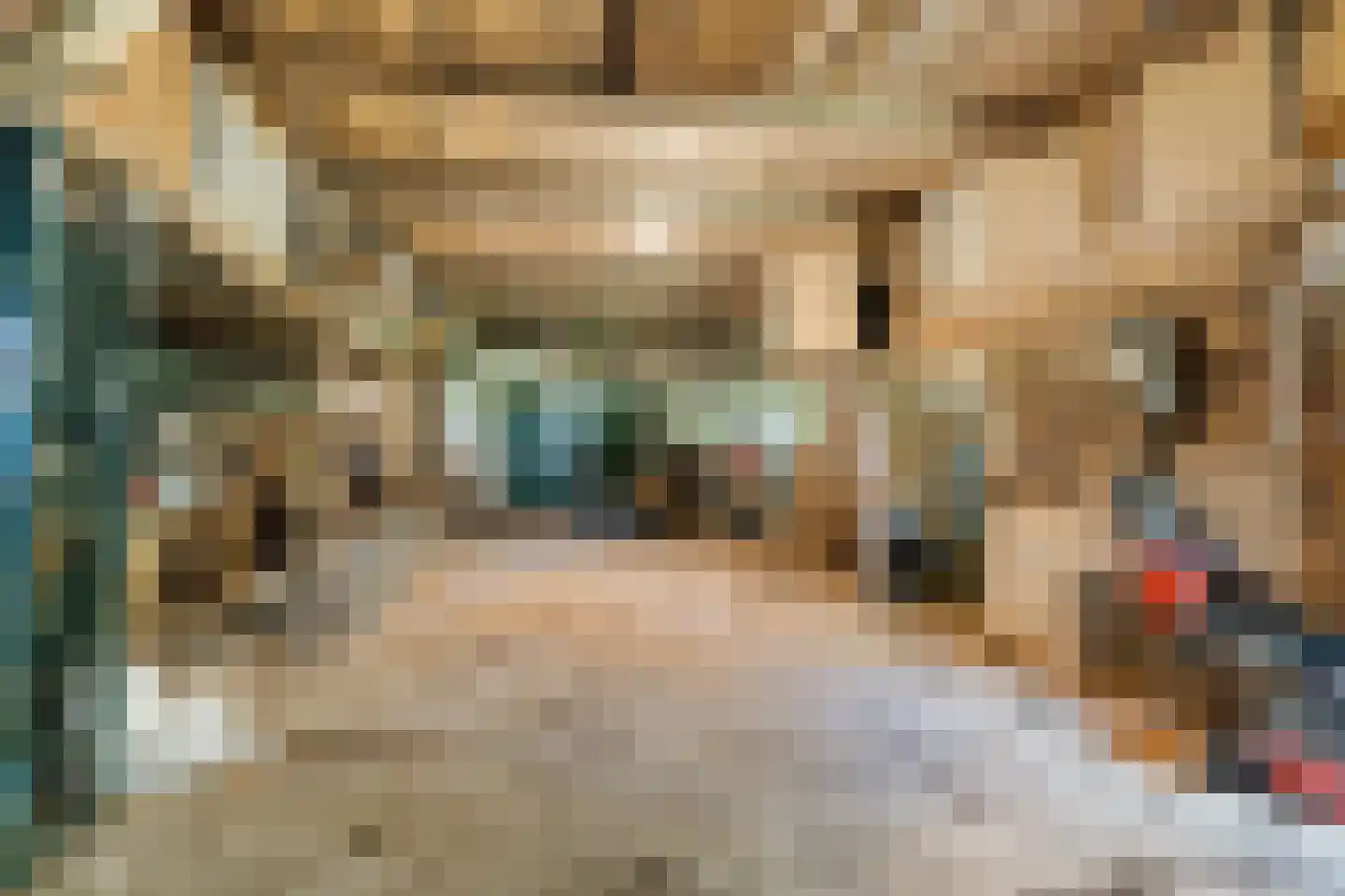 Overmaatweg 51 Enschede thumbnail 32