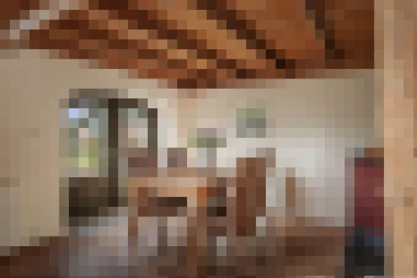 Overmeenweg 2 Heeten thumbnail 11
