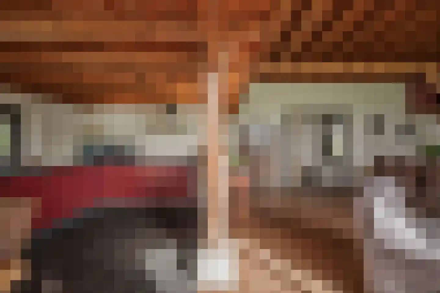 Overmeenweg 2 Heeten thumbnail 12