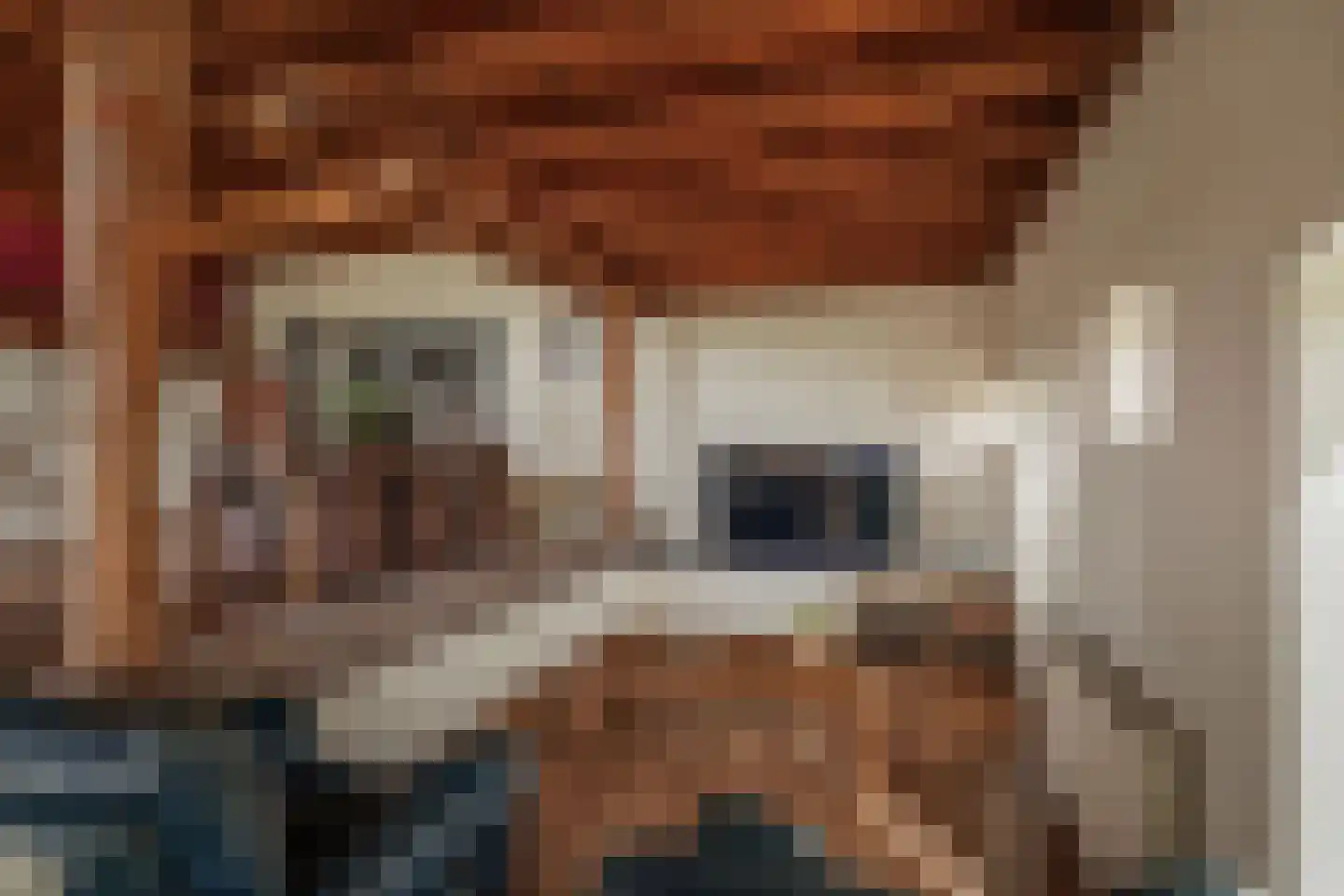 Overmeenweg 2 Heeten thumbnail 16