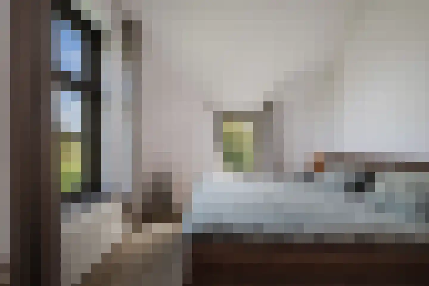Overmeenweg 2 Heeten thumbnail 19