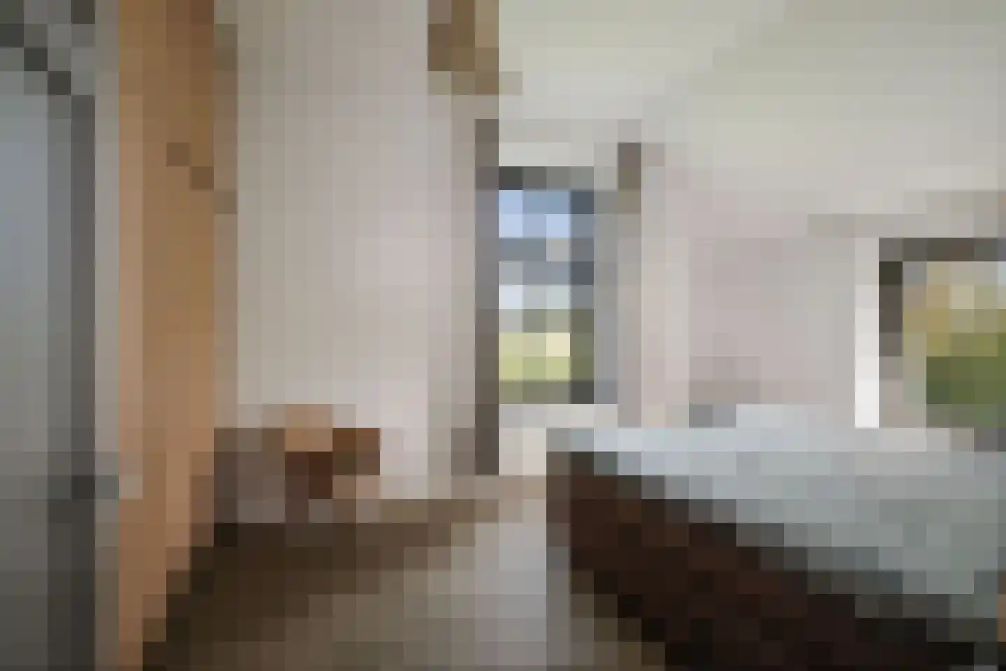 Overmeenweg 2 Heeten thumbnail 21