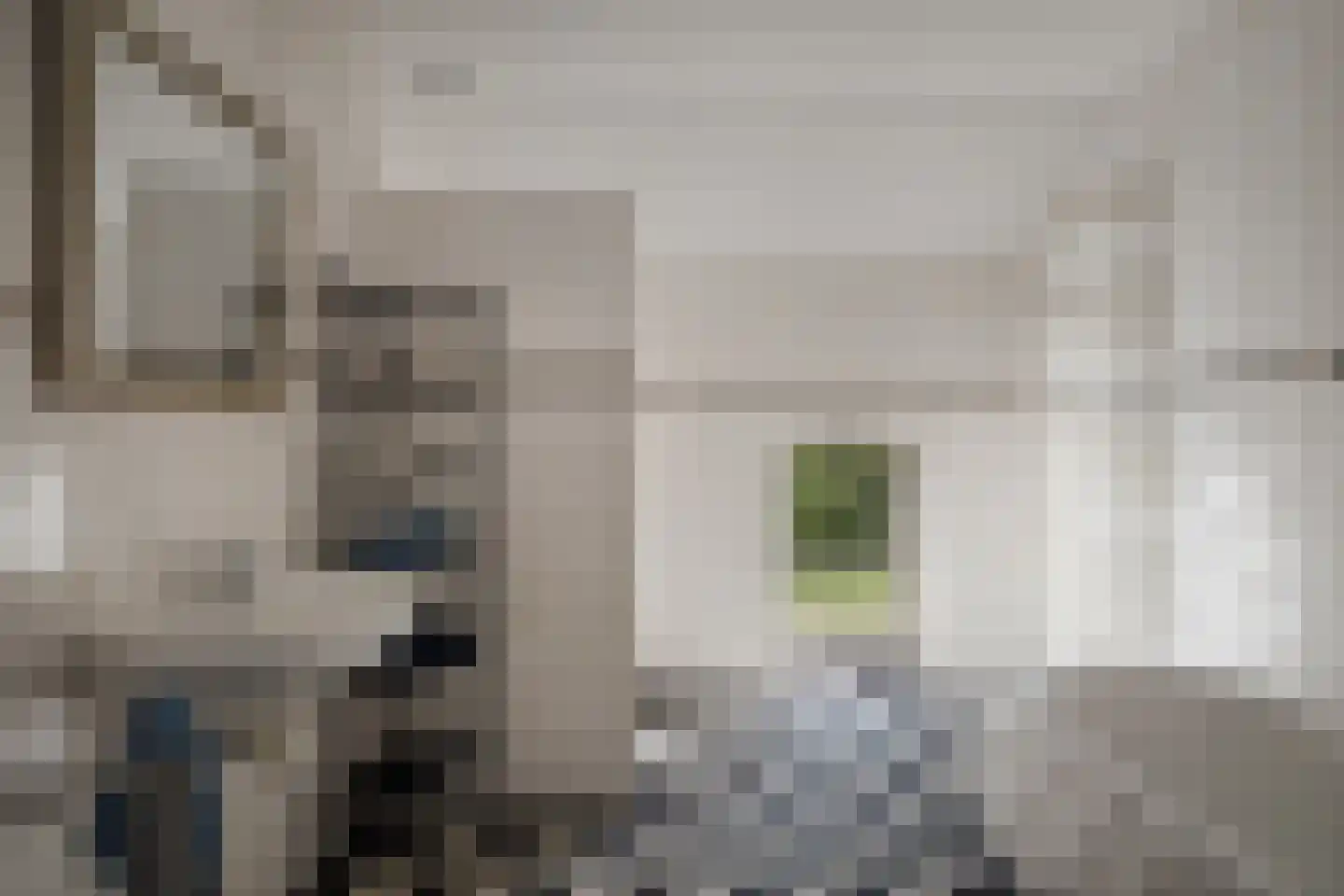 Overmeenweg 2 Heeten thumbnail 25