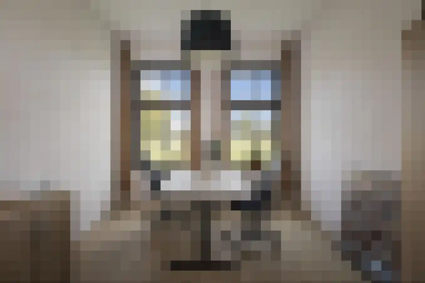 Overmeenweg 2 Heeten thumbnail 26