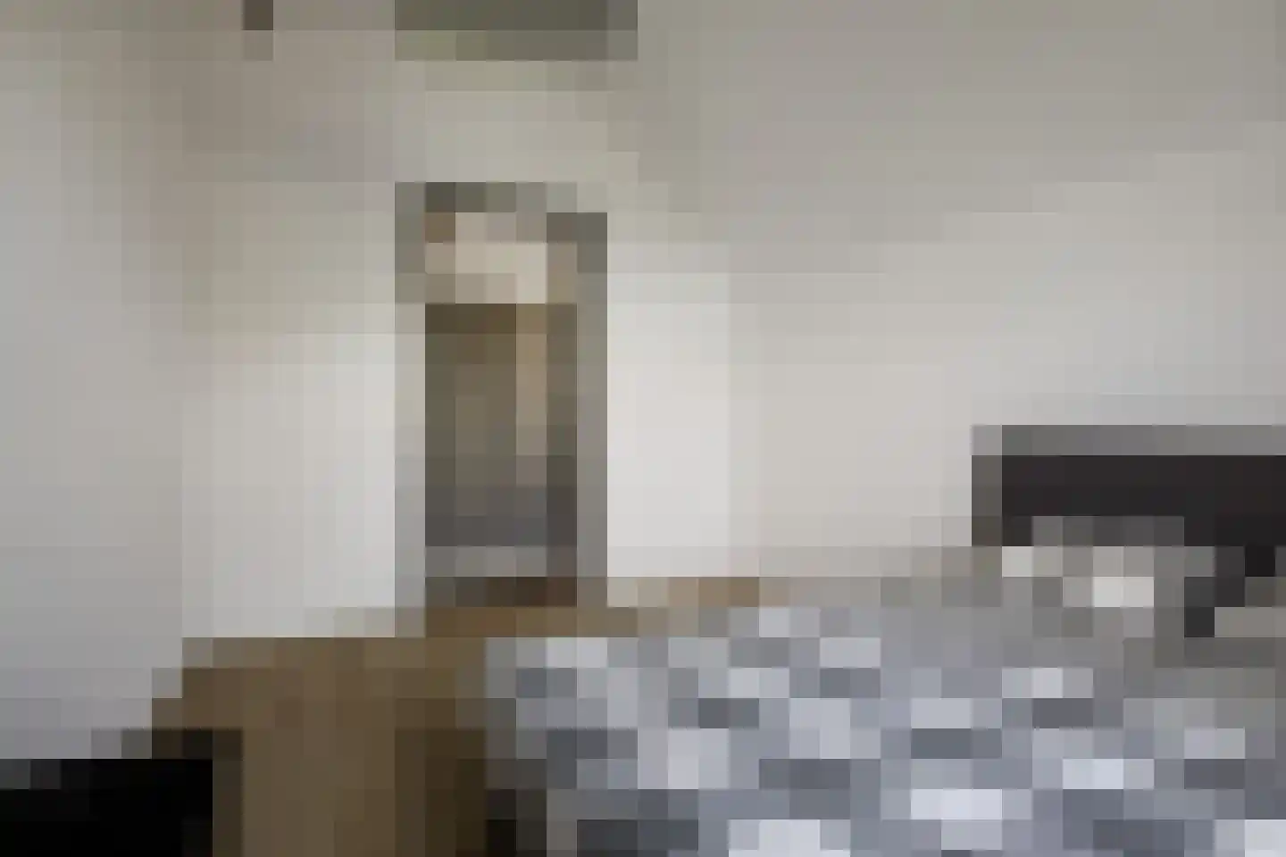 Overmeenweg 2 Heeten thumbnail 28