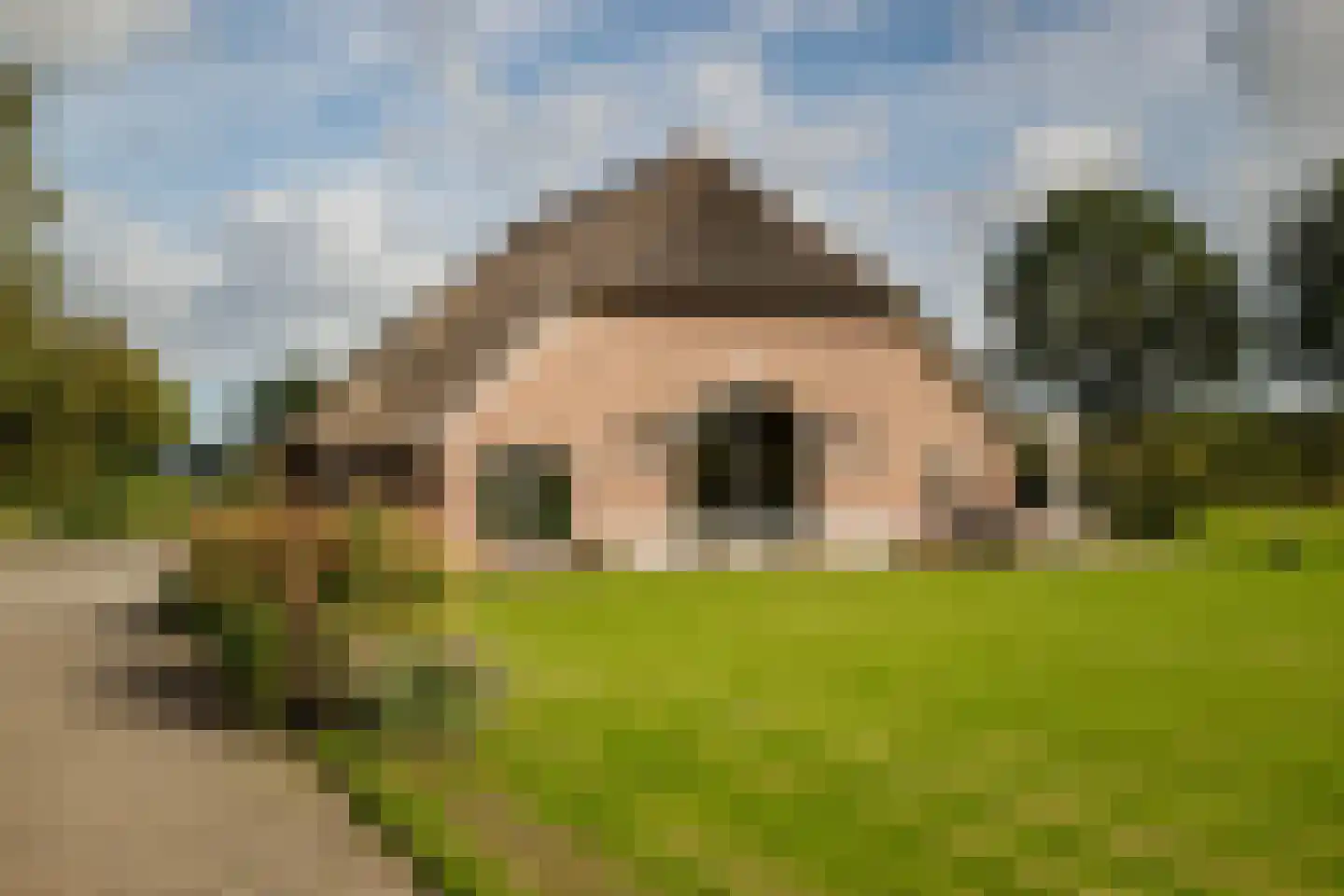 Overmeenweg 2 Heeten thumbnail 32