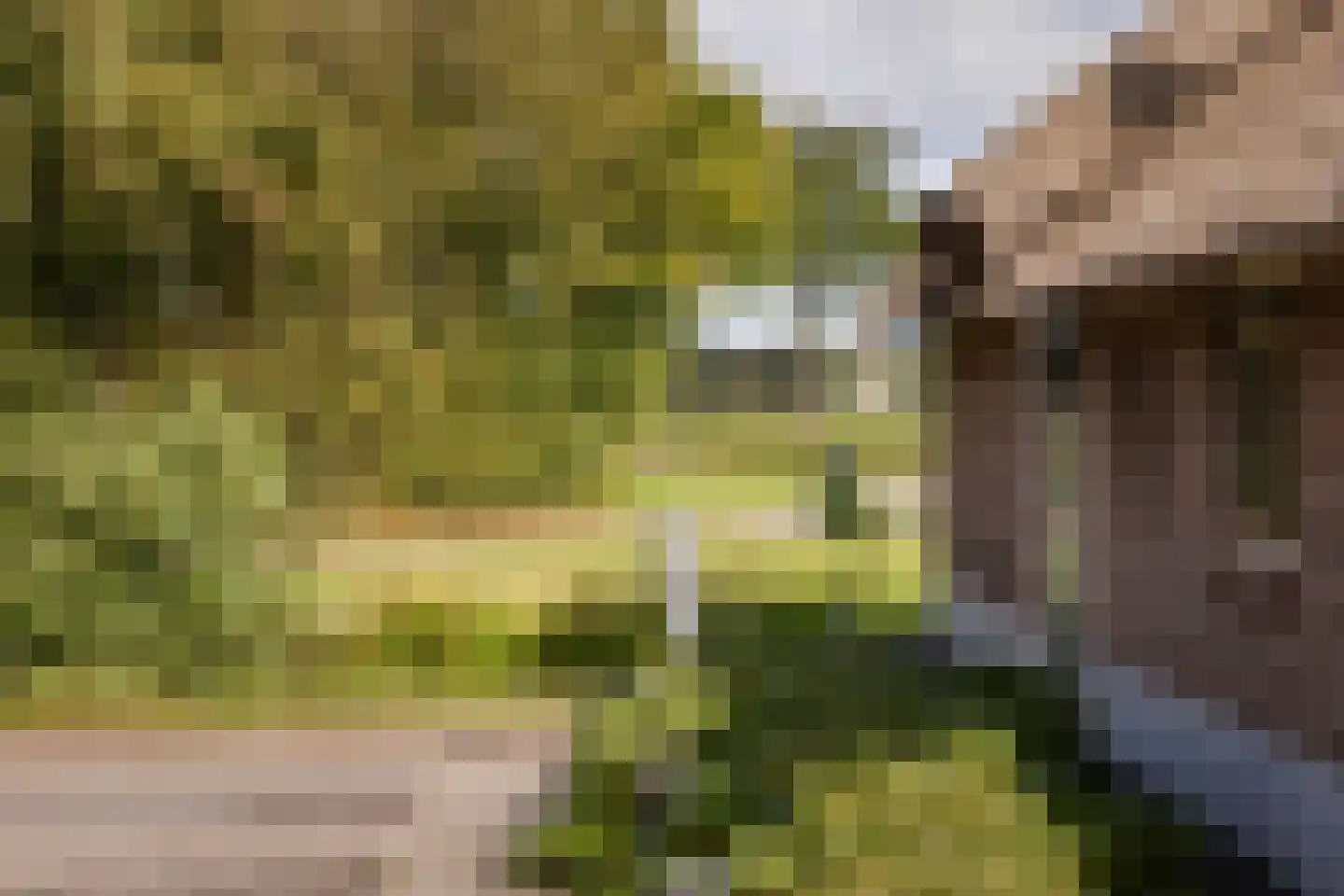 Overmeenweg 2 Heeten thumbnail 35