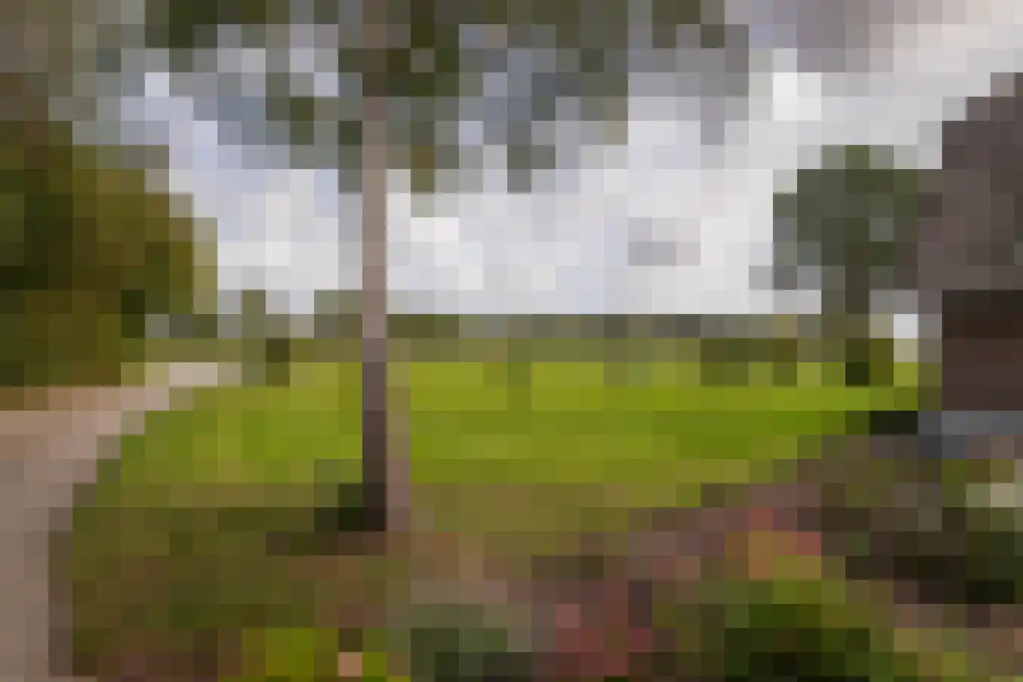 Overmeenweg 2 Heeten thumbnail 37