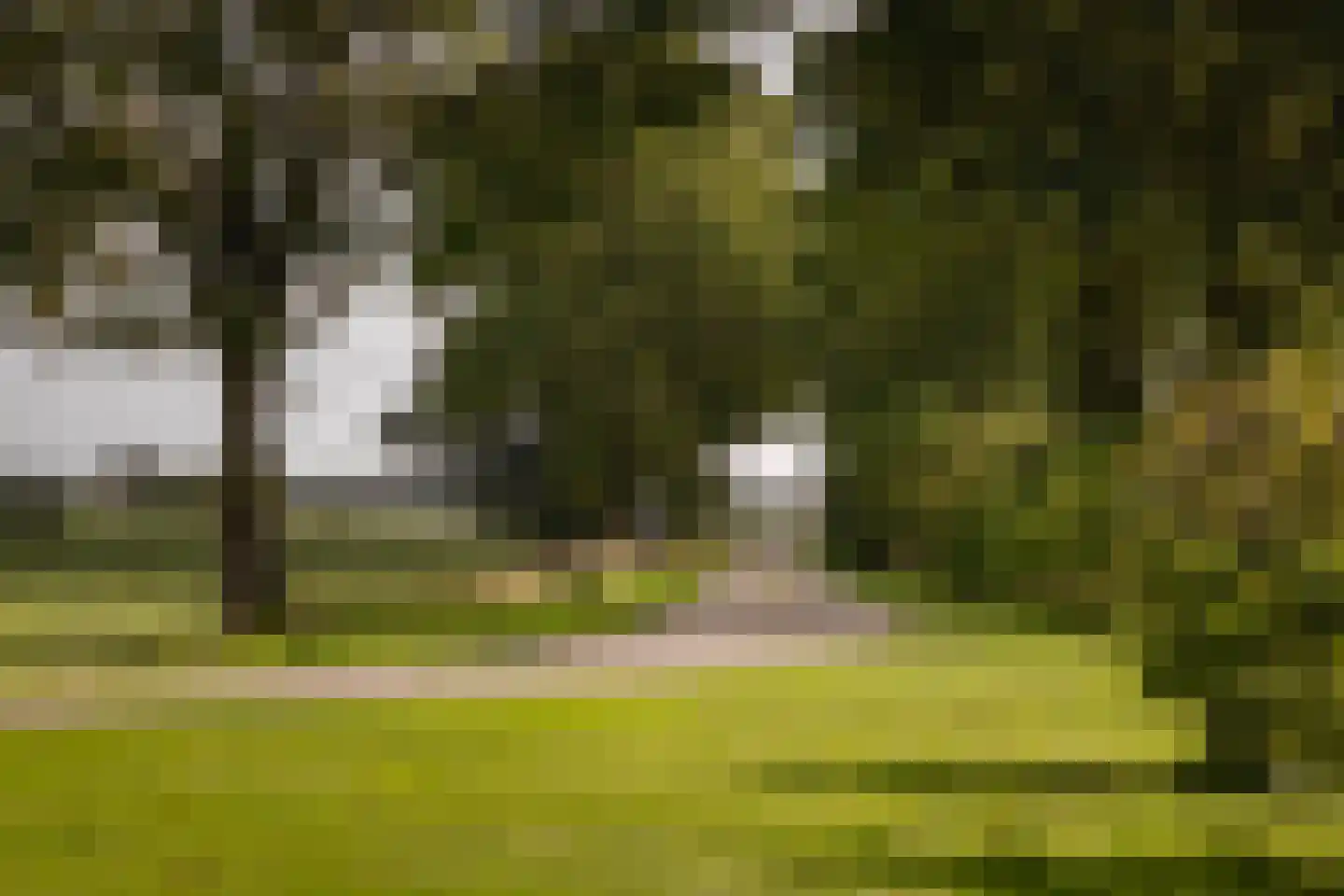 Overmeenweg 2 Heeten thumbnail 39