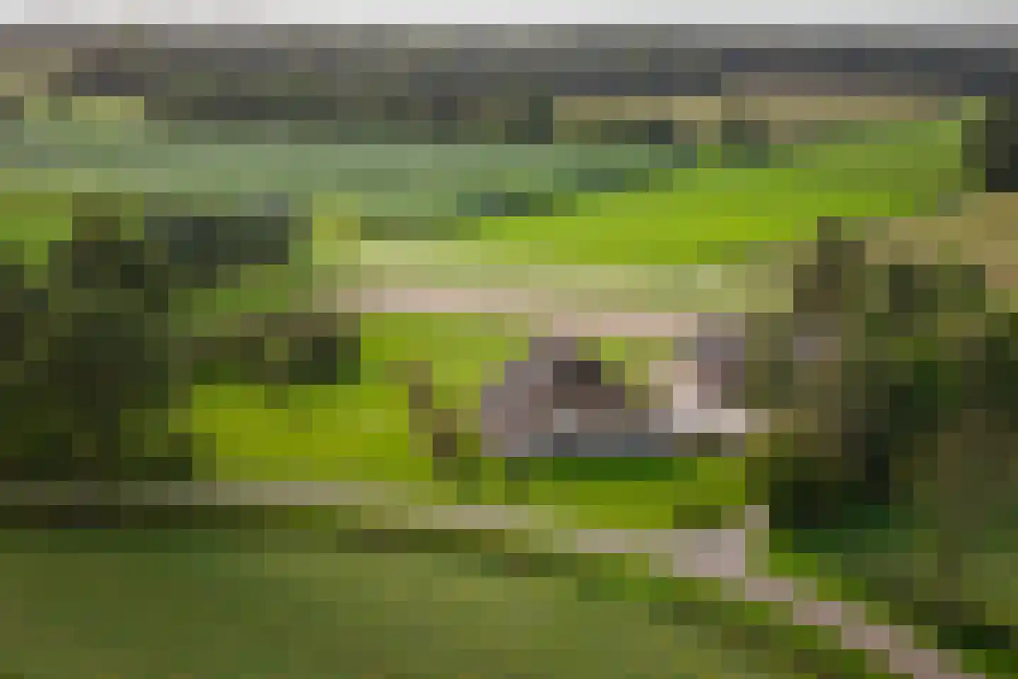 Overmeenweg 2 Heeten thumbnail 4