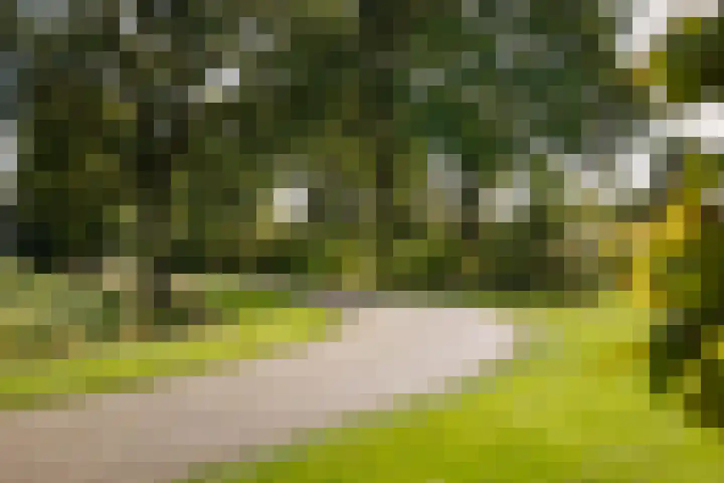 Overmeenweg 2 Heeten thumbnail 41
