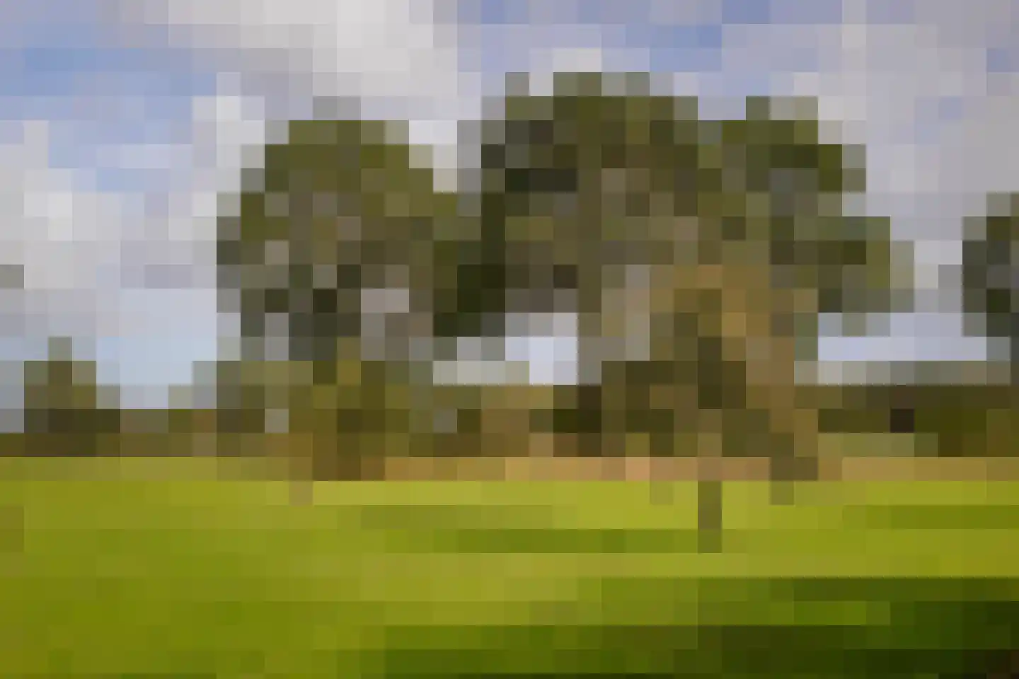 Overmeenweg 2 Heeten thumbnail 47