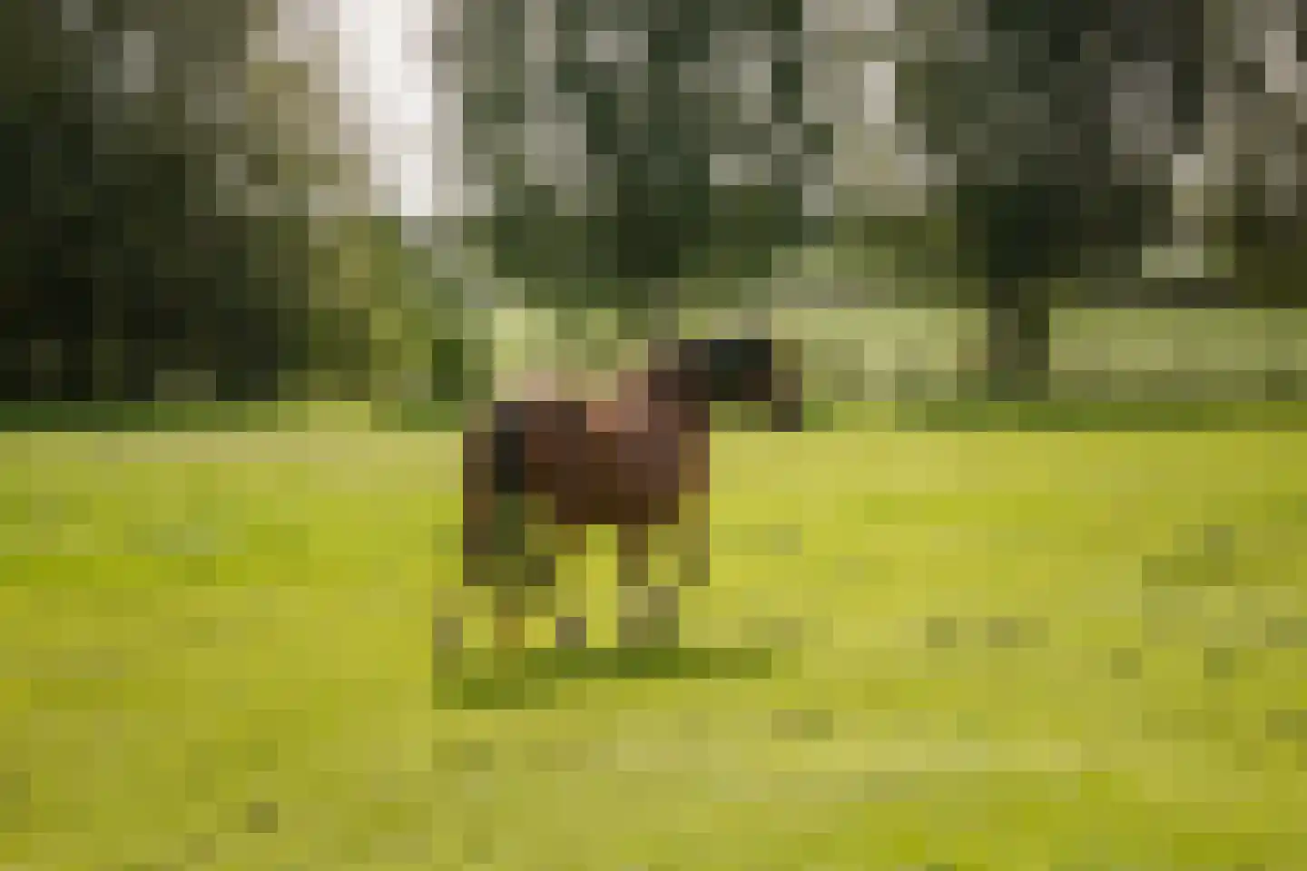 Overmeenweg 2 Heeten thumbnail 49