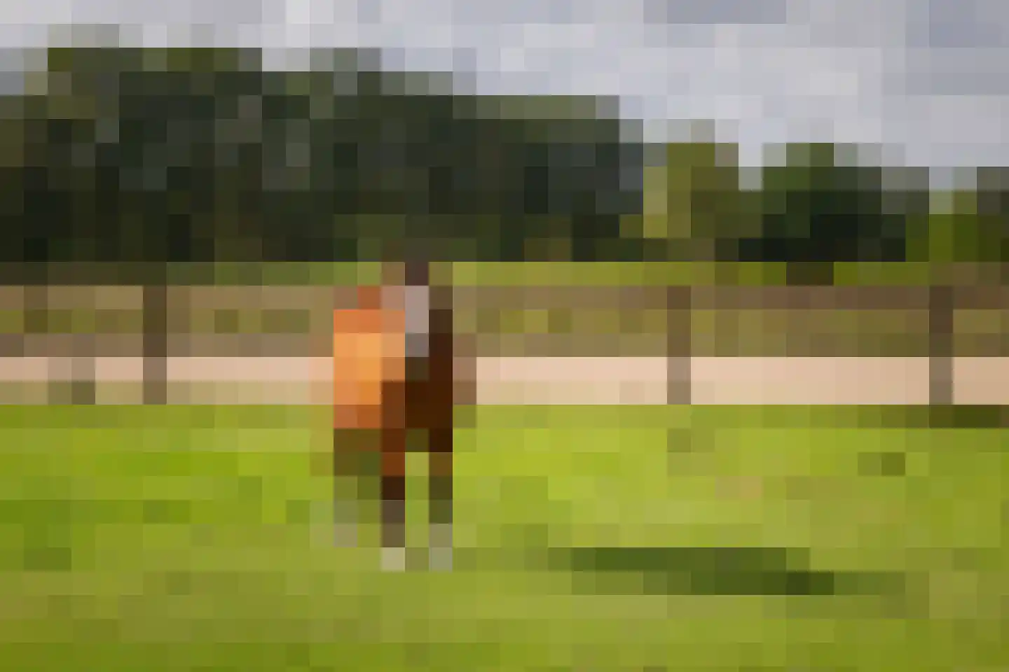 Overmeenweg 2 Heeten thumbnail 54