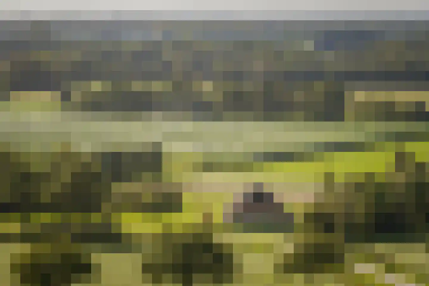 Overmeenweg 2 Heeten thumbnail 58
