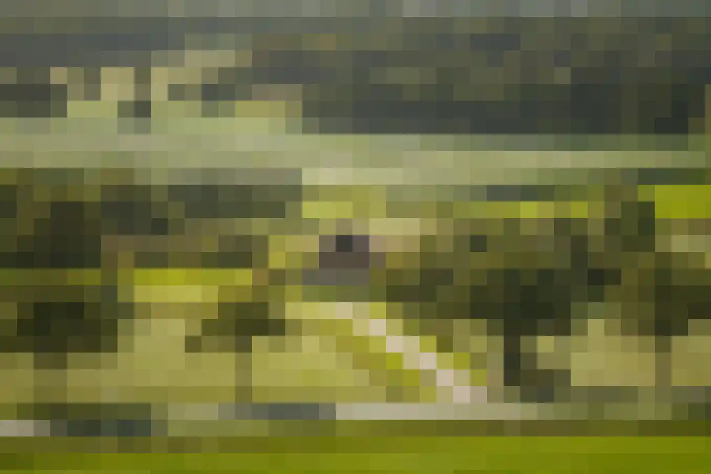 Overmeenweg 2 Heeten thumbnail 59