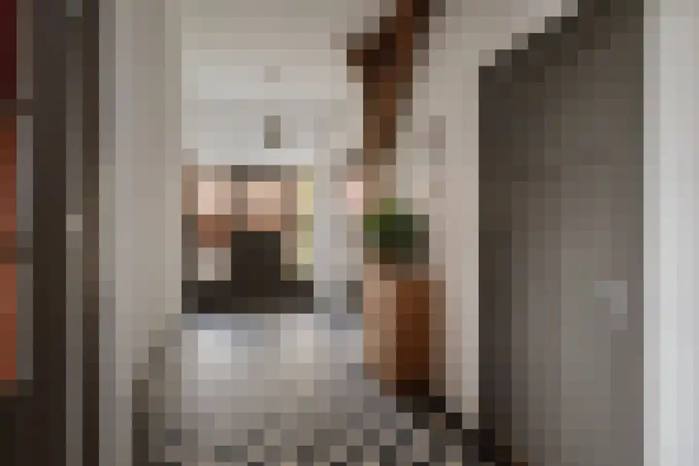Overmeenweg 2 Heeten thumbnail 9