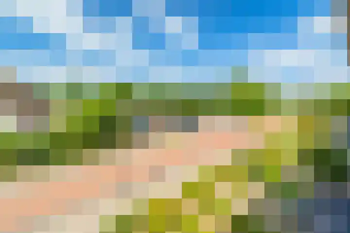 Overmeerseweg 105 Nederhorst den Berg thumbnail 38