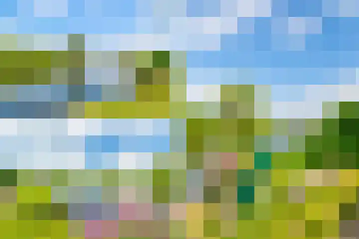 Overmeerseweg 105 Nederhorst den Berg thumbnail 45