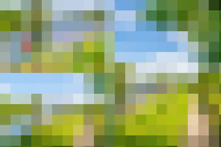 Overmeerseweg 105 Nederhorst den Berg thumbnail 46