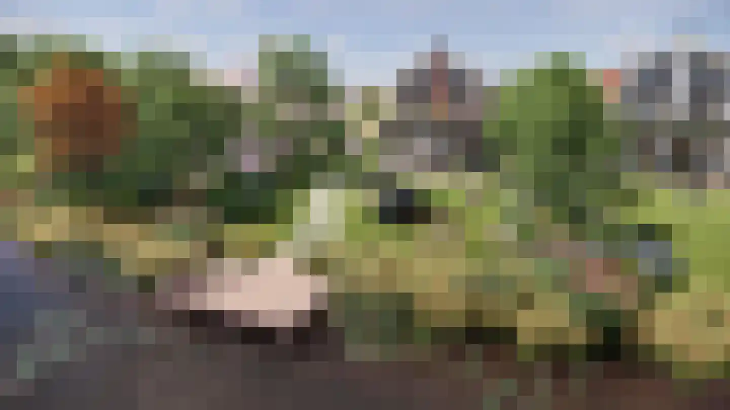 Overmeerseweg 12 Nederhorst den Berg thumbnail 16