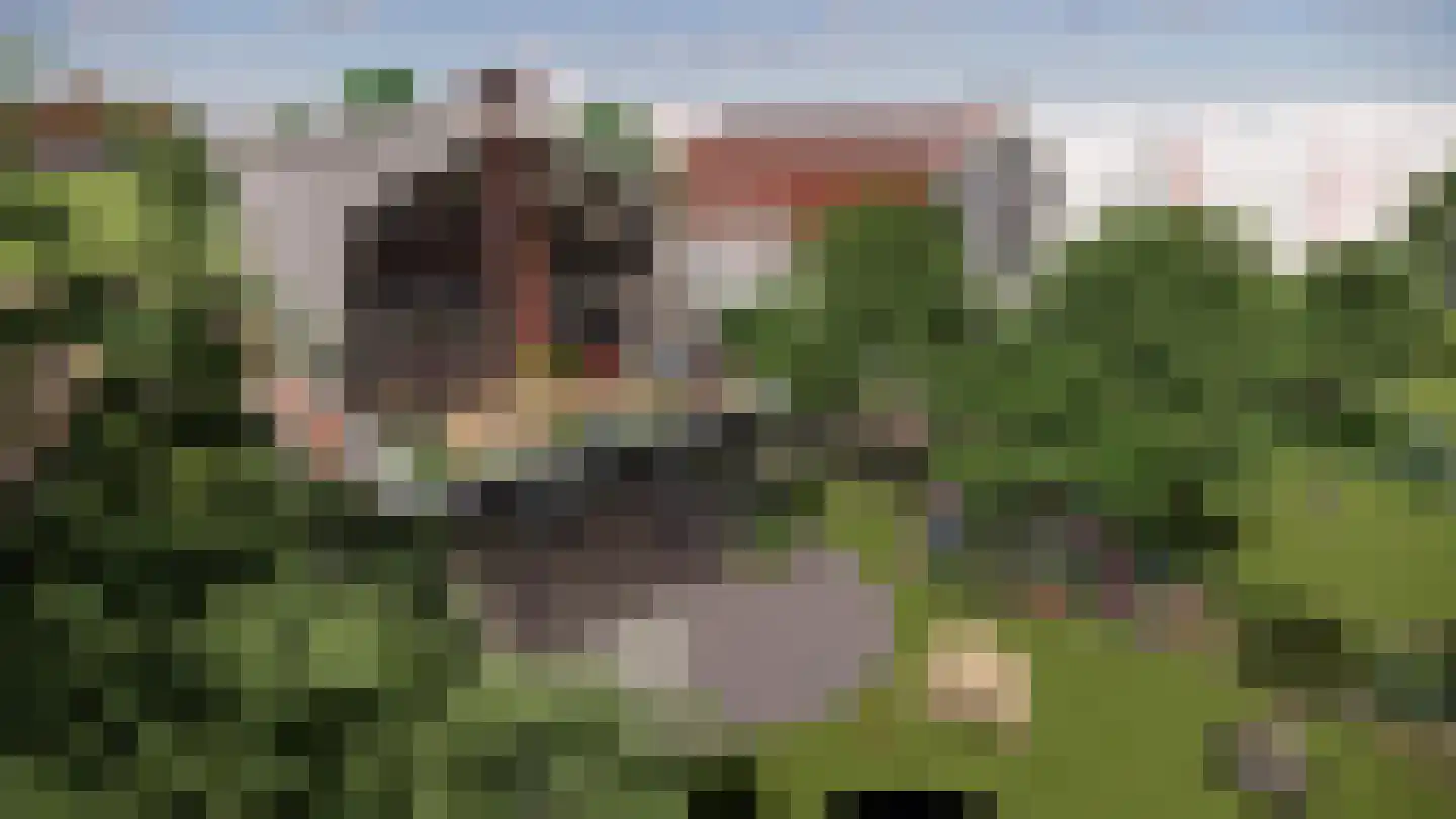 Overmeerseweg 12 Nederhorst den Berg thumbnail 18