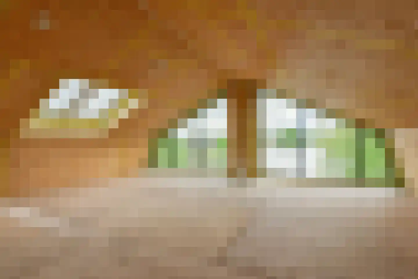 Overmeerseweg 12 Nederhorst den Berg thumbnail 26