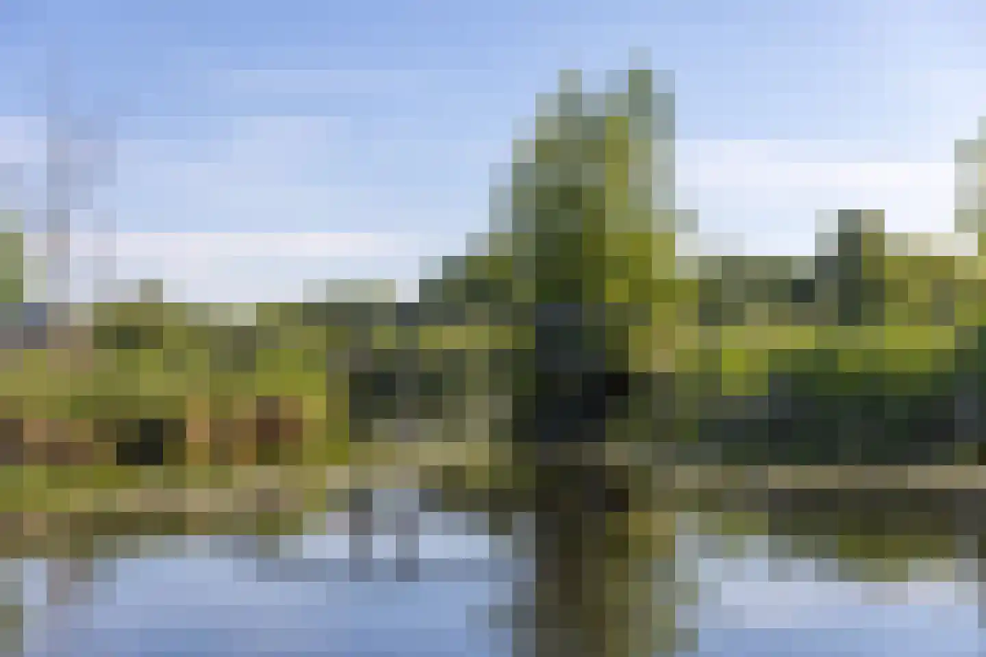 Overmeerseweg 12 Nederhorst den Berg thumbnail 39