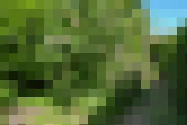 Overmeerseweg 127 Nederhorst den Berg thumbnail 5