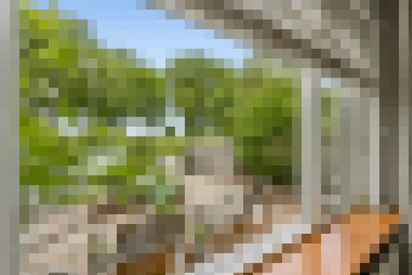 Overmeerseweg 79 a Nederhorst den Berg thumbnail 6