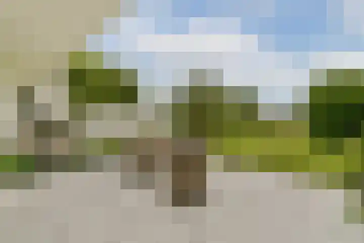 Overmeerseweg 98 Nederhorst den Berg thumbnail 10