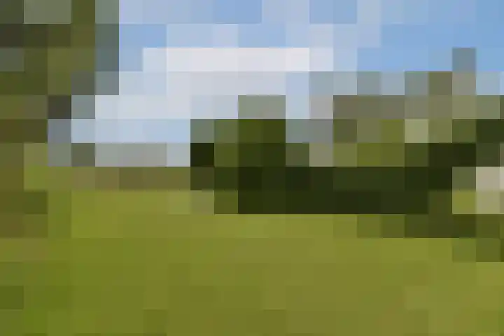 Overmeerseweg 98 Nederhorst den Berg thumbnail 11