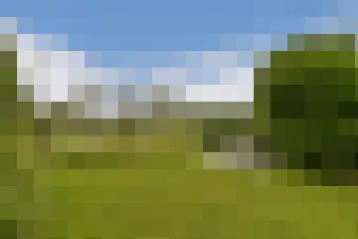 Overmeerseweg 98 Nederhorst den Berg thumbnail 12