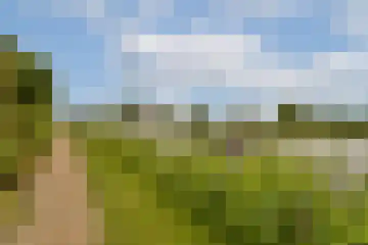 Overmeerseweg 98 Nederhorst den Berg thumbnail 13